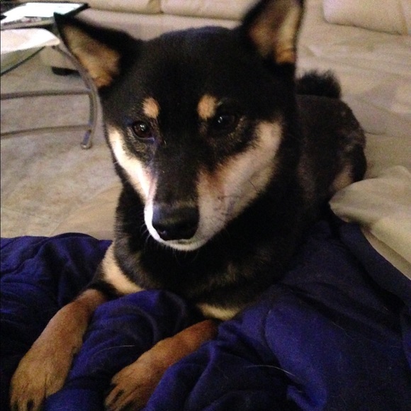 Meet your Posher - Picture 5 of 8